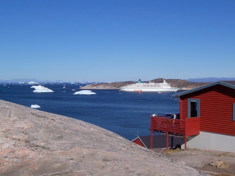 Albatros vor Ilulissat